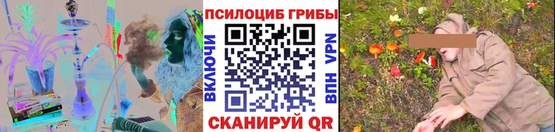 Галлюциногенные грибы Psilocybine cubensis Кольчугино