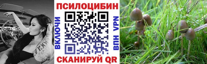 Галлюциногенные грибы мухоморы Кольчугино