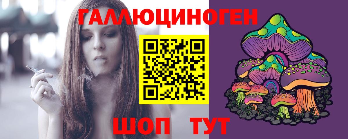 Псилоцибиновые грибы мицелий Кольчугино